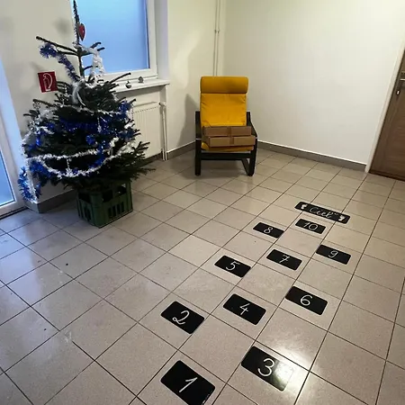 Sunny Cozy In A Shared Family House Bed & Breakfast