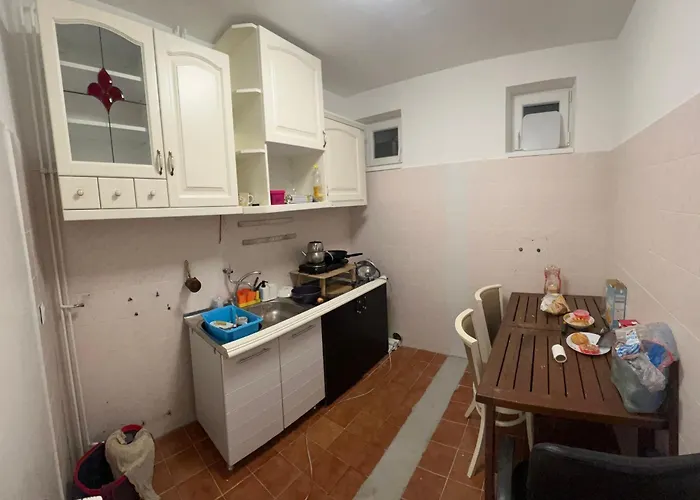 Sunny Cozy In A Shared Family House