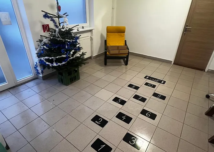 Sunny Cozy In A Shared Family House Bed & Breakfast