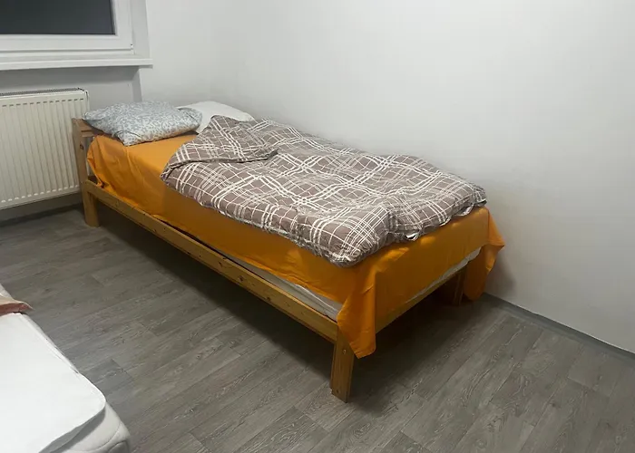 Sunny Cozy In A Shared Family House *